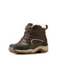 Ariat telluride waterproof insulated boots for ladies - HorseworldEU