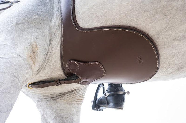 Horse Fitform International Sangle Bavette avec aimants