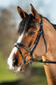 HFI elegant bridle - HorseworldEU