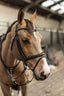 HFI pro bridle Milano - HorseworldEU