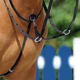 Martingale Passier