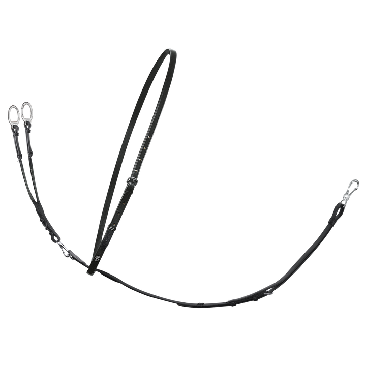 Passier Martingale