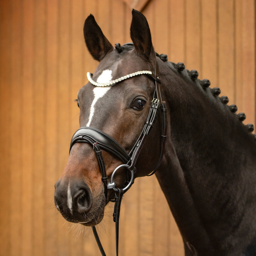 Passier bridon favorite powered by Ingrid Klimke