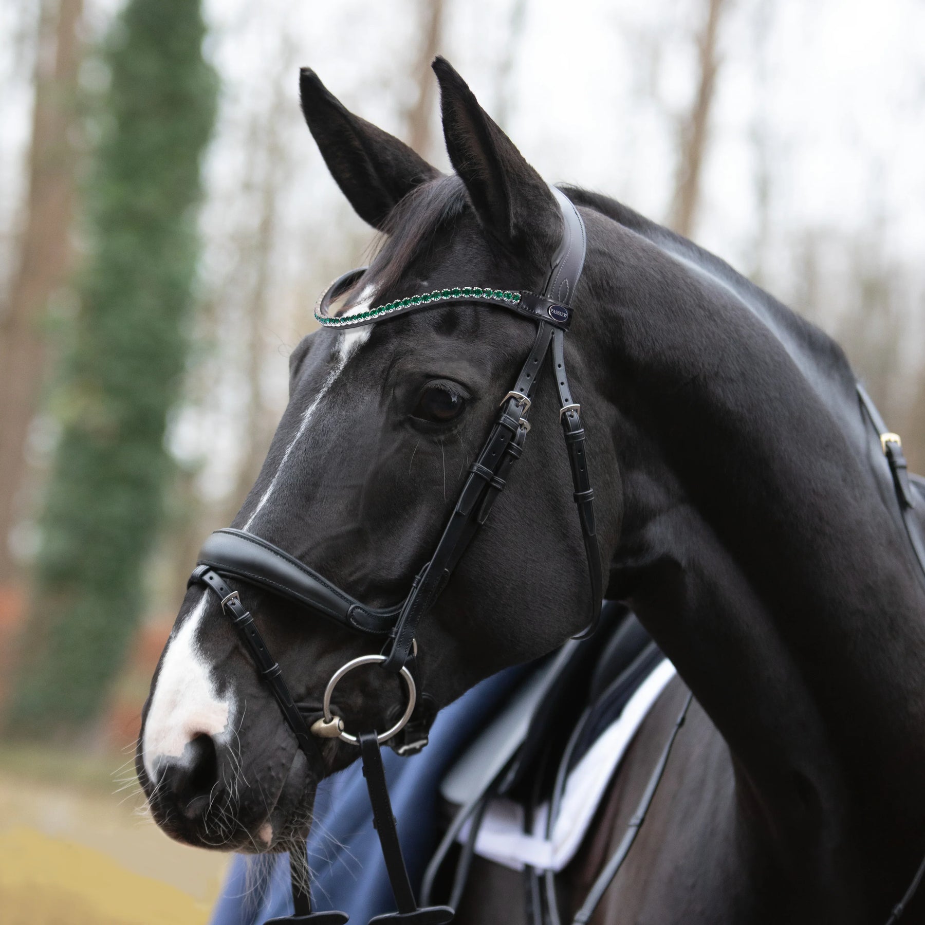 Passier bridon fantastic
