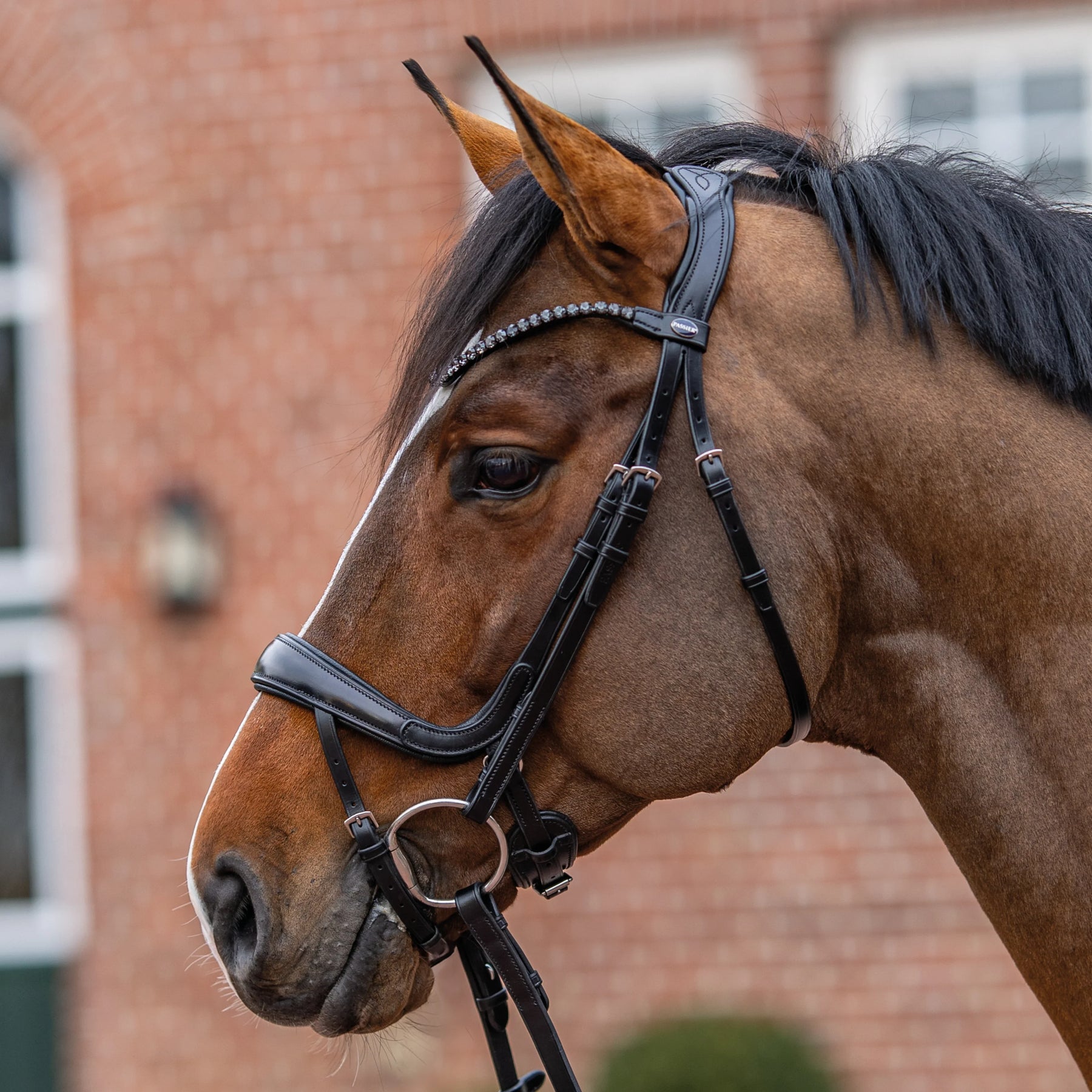 Passier move snaffle bridle powered by Julia Krajewski