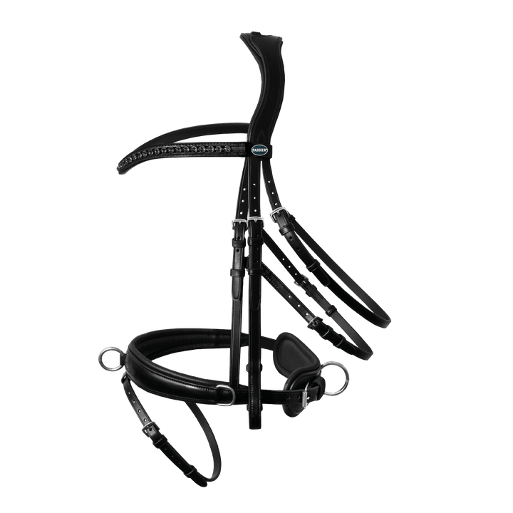 Passier lunging bridle
