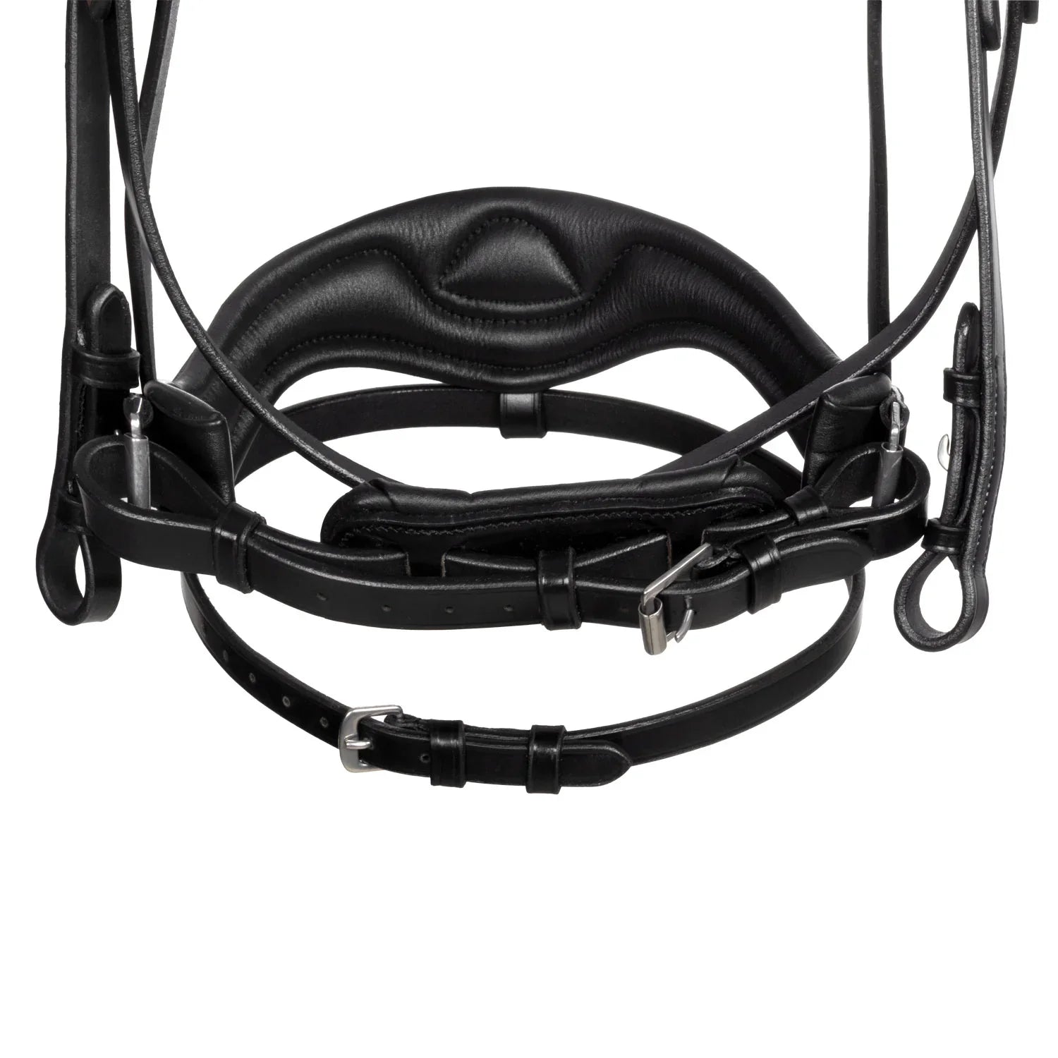 Acavallo moulin rouge bridle