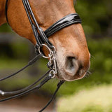 Herm. Sprenger WH ultra bradoon 40227