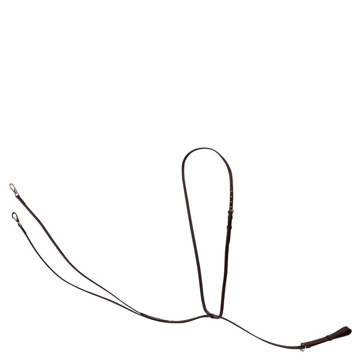 Trust Thiedemann reins