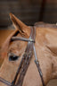 HFI double jump bridle - HorseworldEU