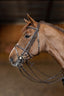 HFI double jump bridle - HorseworldEU