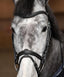 HFI Flex bridle - HorseworldEU