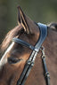 HFI functional bridle - HorseworldEU