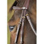 HFI German bridle HFI