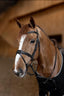 HFI padded bridle - HorseworldEU