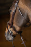 HFI pro bridle Verona - HorseworldEU