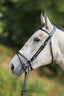 HFI regular bridle - HorseworldEU