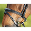 HFI technical bridle HFI