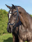 LeMieux Arika drop bridle - HorseworldEU