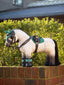 LeMieux toy pony fly hood - HorseworldEU