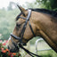 Montar Normandie bridle Montar