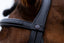 Trust Amsterdam Combined noseband bridle anatomic - HorseworldEU